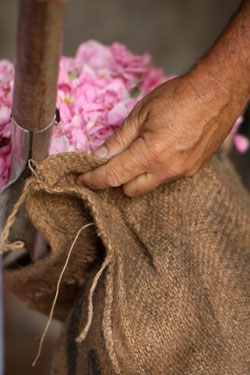 Madagascar-partnership-Firmenich.jpg